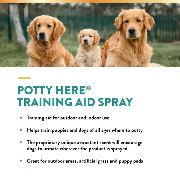 20% OFF: NaturVet Potty Here Training Aid Spray