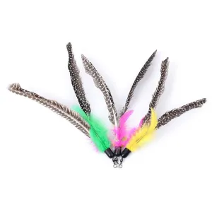 5 Pcs Bird Feather
