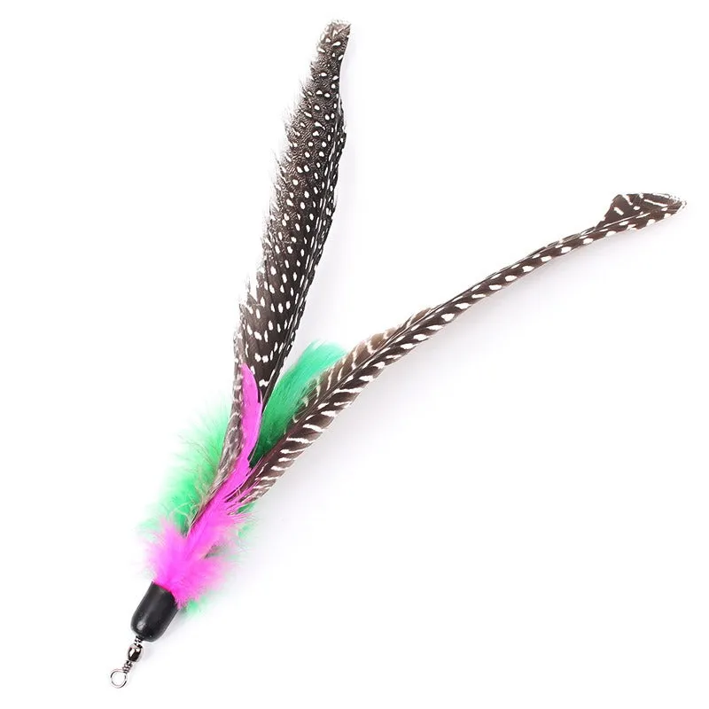 5 Pcs Bird Feather