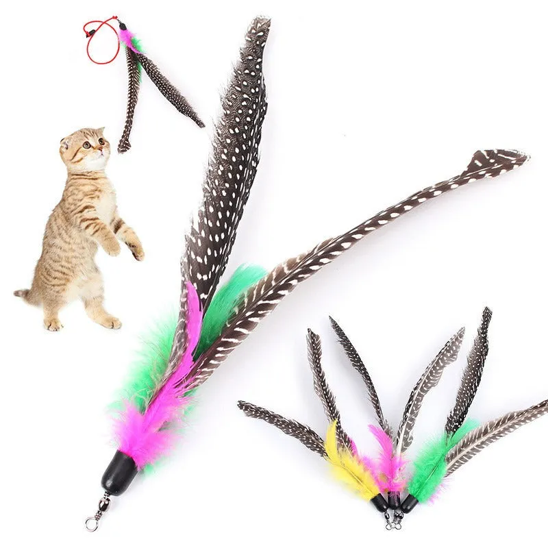 5 Pcs Bird Feather
