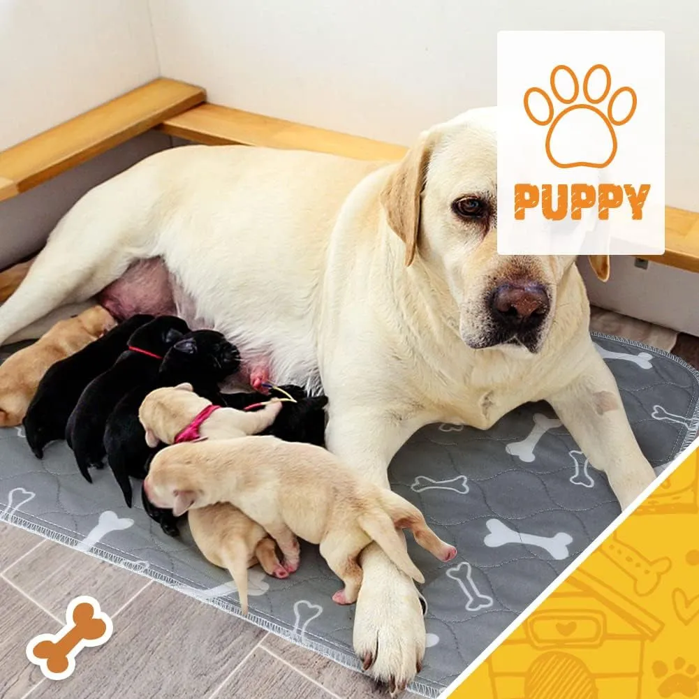 6Pack Washable Pee Pads for Dogs 24 X 16 Inch Reusable Puppy Pads, High Urine Absorption Waterproof Puppy Pad Reusable Potty Pads for Dogs Whelping Potty Training