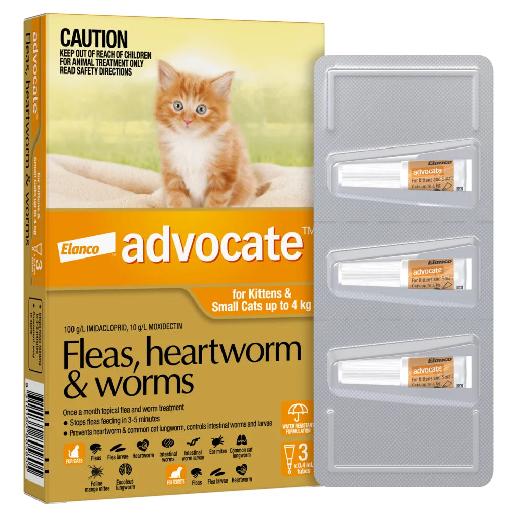 Advocate for Kittens & Cats Under 4kg 3 Months