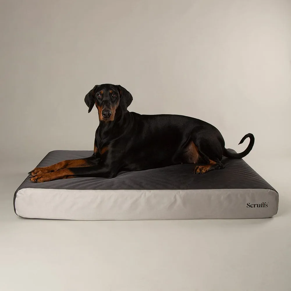 ArmourDillo Orthopaedic Dog Bed - Grey