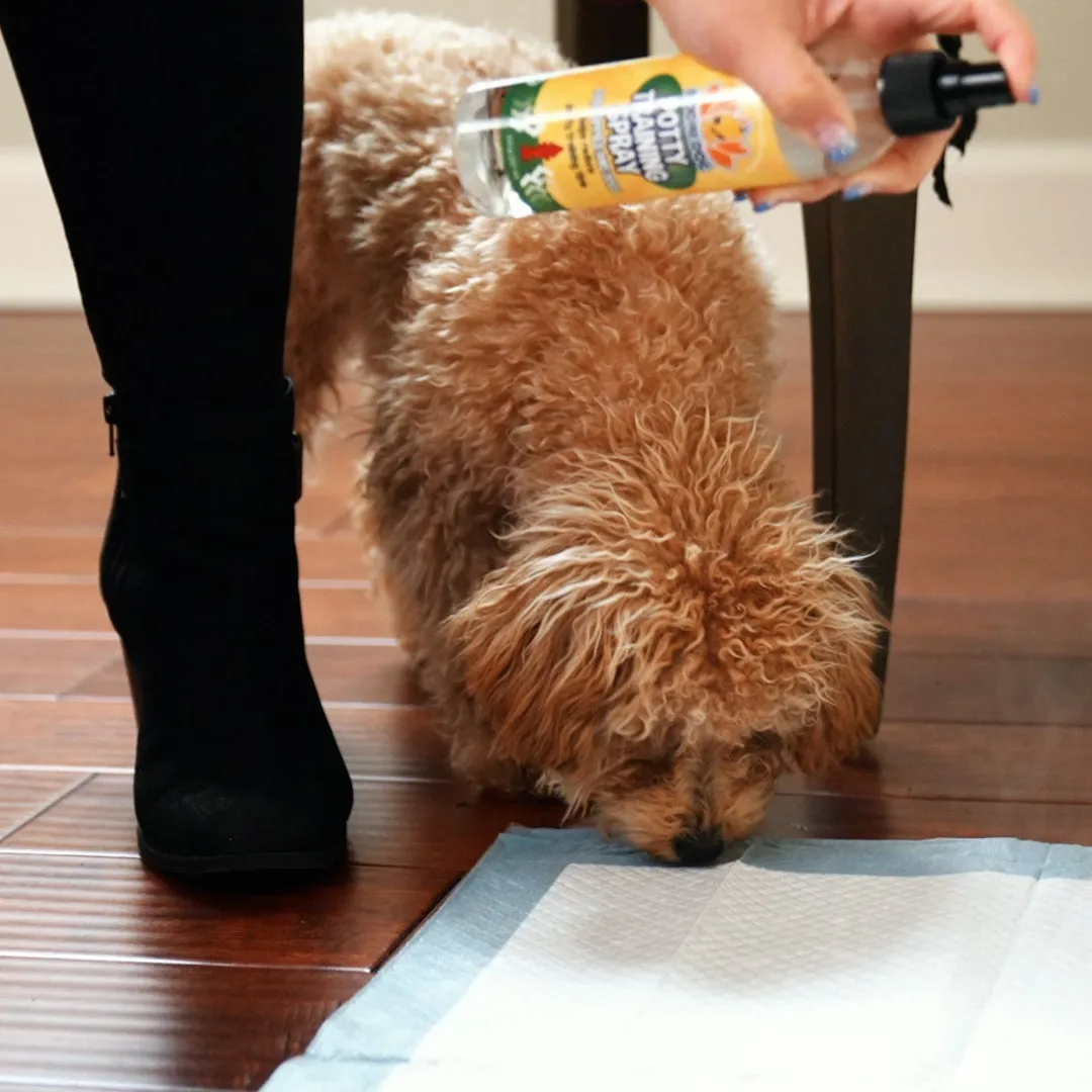 Bodhi Dog Extra Strength Potty Training Spray | Indoor Outdoor Potty Training Aid for Dogs & Puppies | Puppy Potty Training for Potty Pads | Made in USA