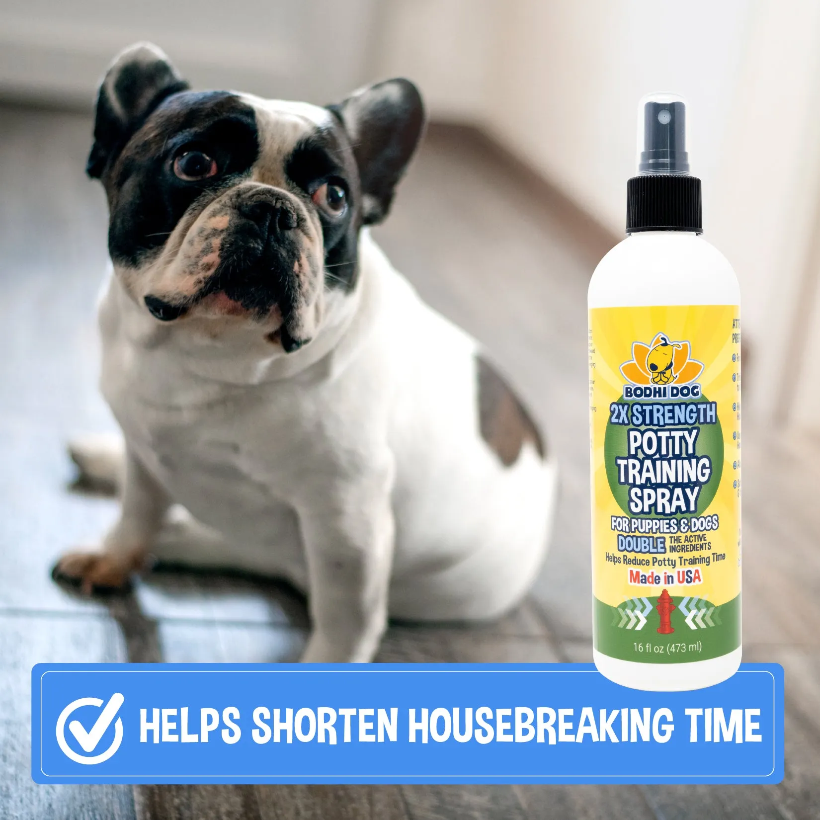 Bodhi Dog Extra Strength Potty Training Spray | Indoor Outdoor Potty Training Aid for Dogs & Puppies | Puppy Potty Training for Potty Pads | Made in USA