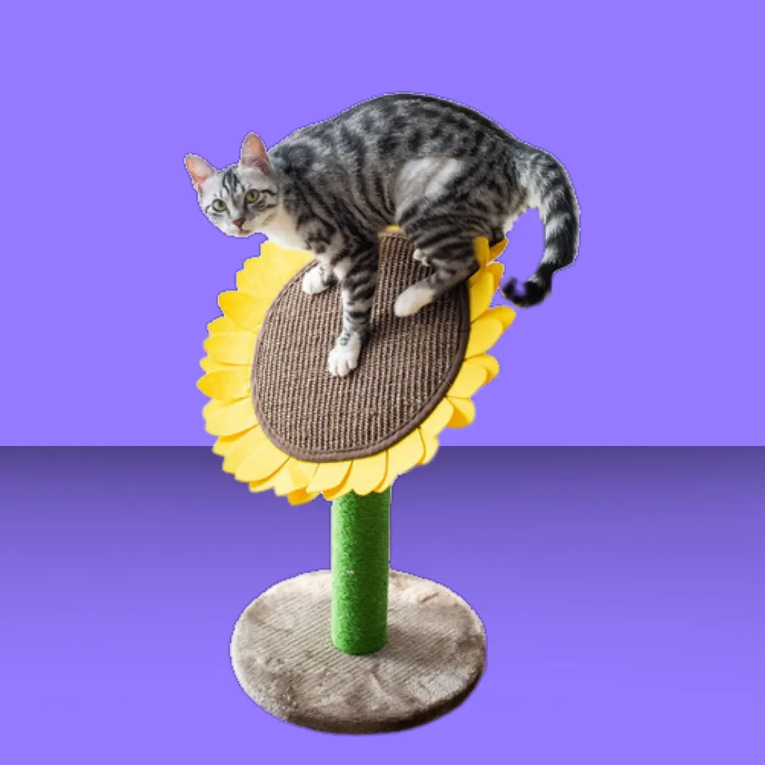 Catry Sunflower Cat Scratcher