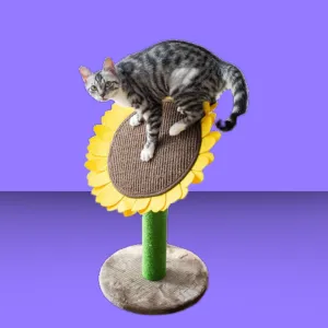 Catry Sunflower Cat Scratcher