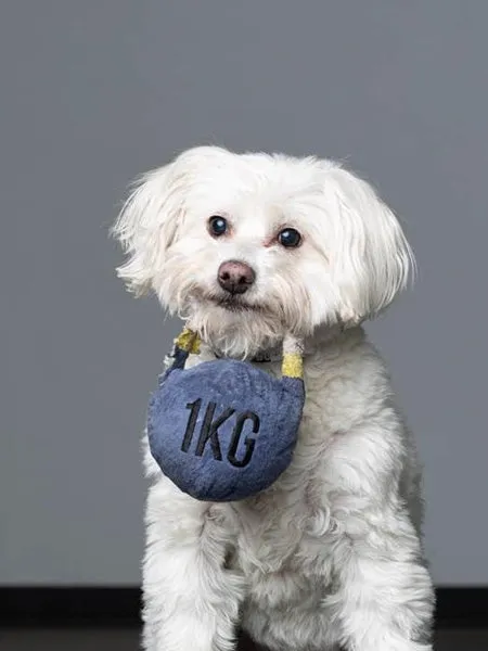 Customizable Plush Dog Toys