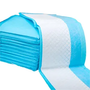 Disposable Pet Pads: Mess-Free Solution for Puppy Potty Training