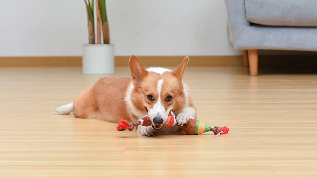 Elf: Holiday 7" Buddy, Candy, and Maple Syrup Rope Toy