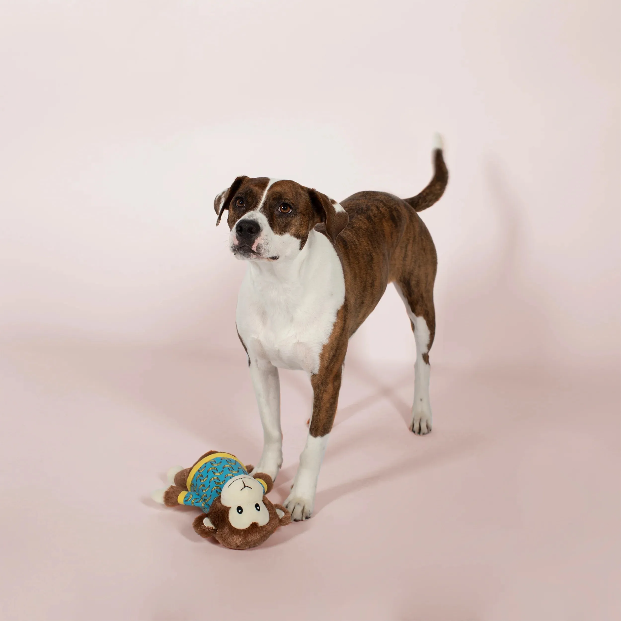 Fringe Dog Toy Bananas the Monkey