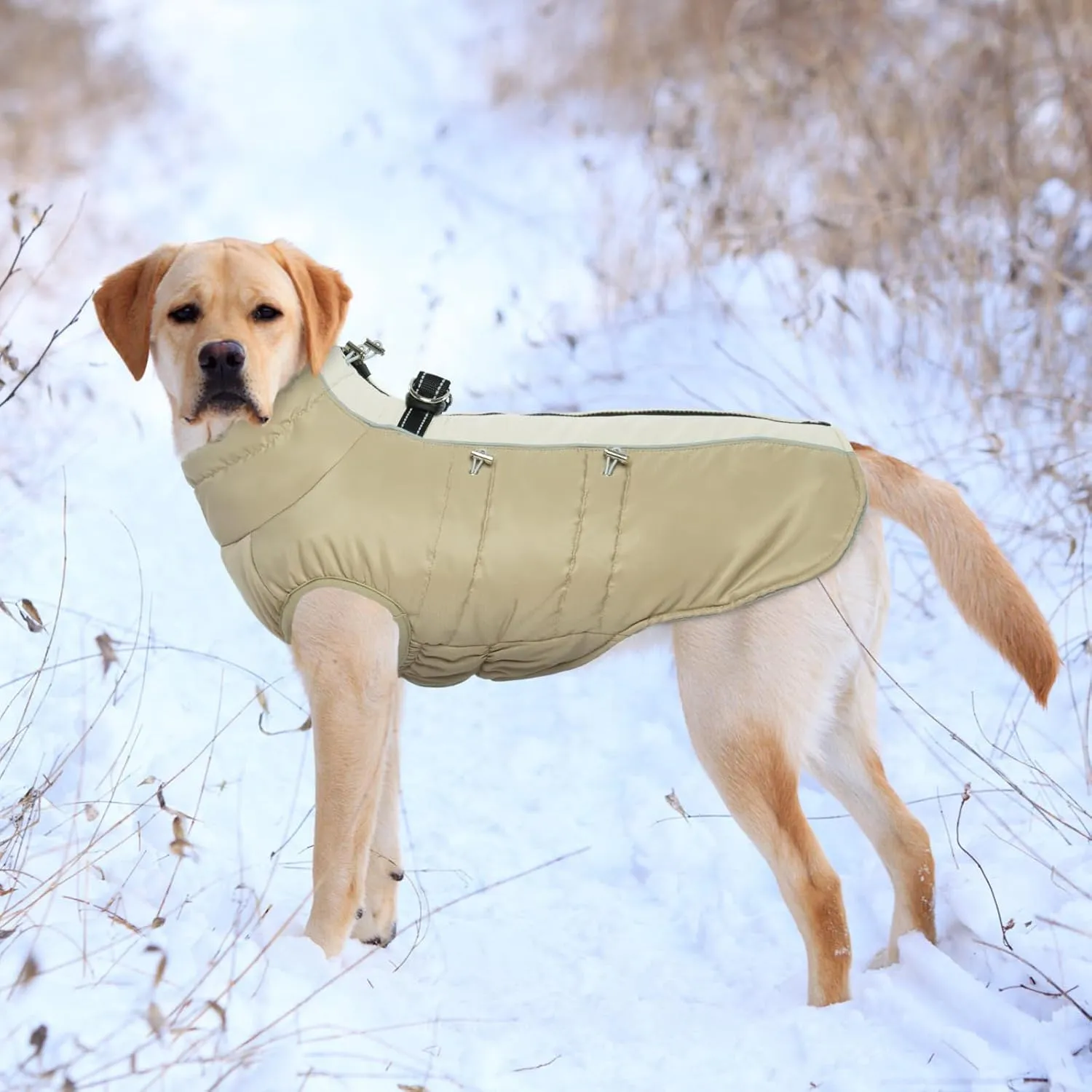 IDOMIK Warm Dog Coat with Built-in Harness,Dog Winter Coat,Dog Cold Weather Coats Zipper,Water-Repellent Dog Jackets Thicken Dog Fleece,Windproof Dog Snow Jacket Snowsuit for Small Medium Large Dogs