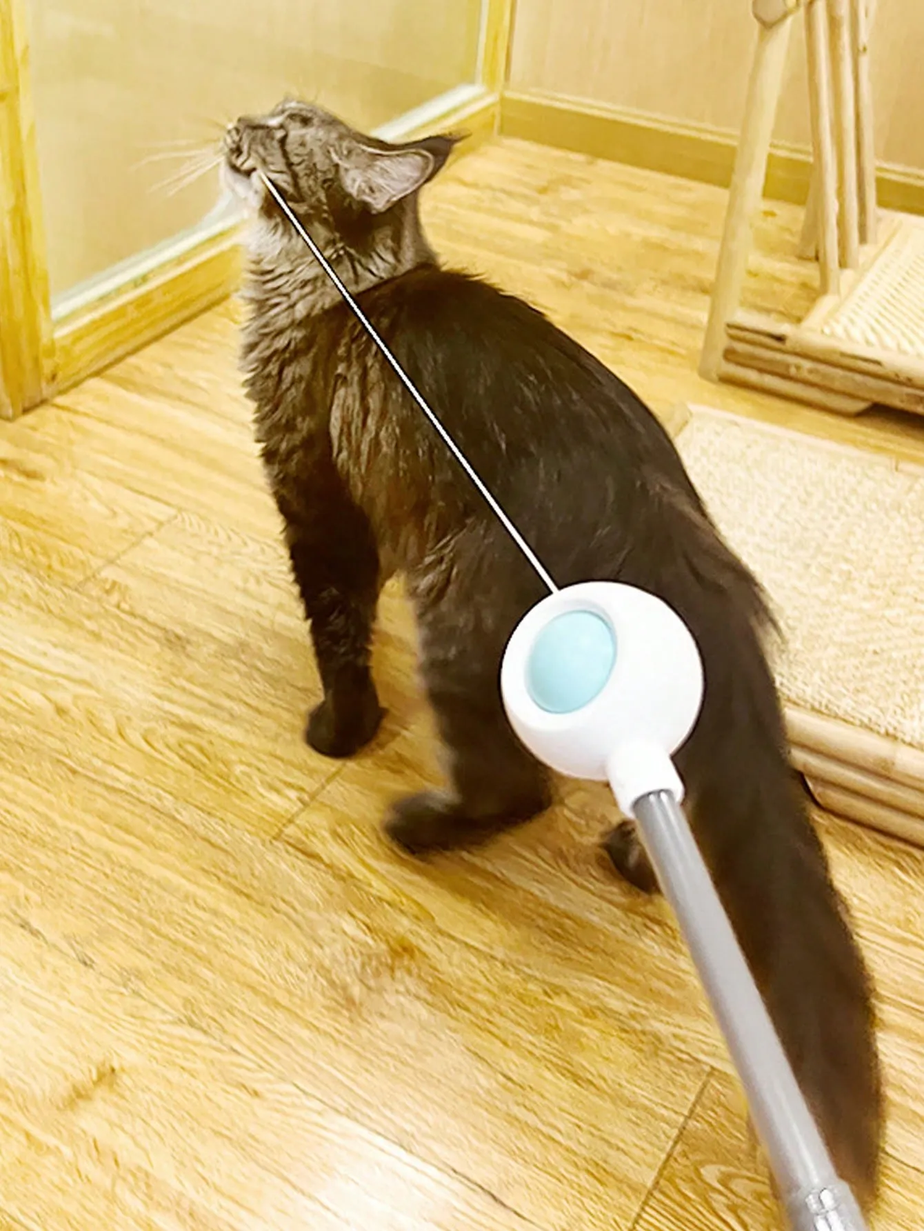 Interactive Cat Teaser Wand Toys With Replacement Feather
