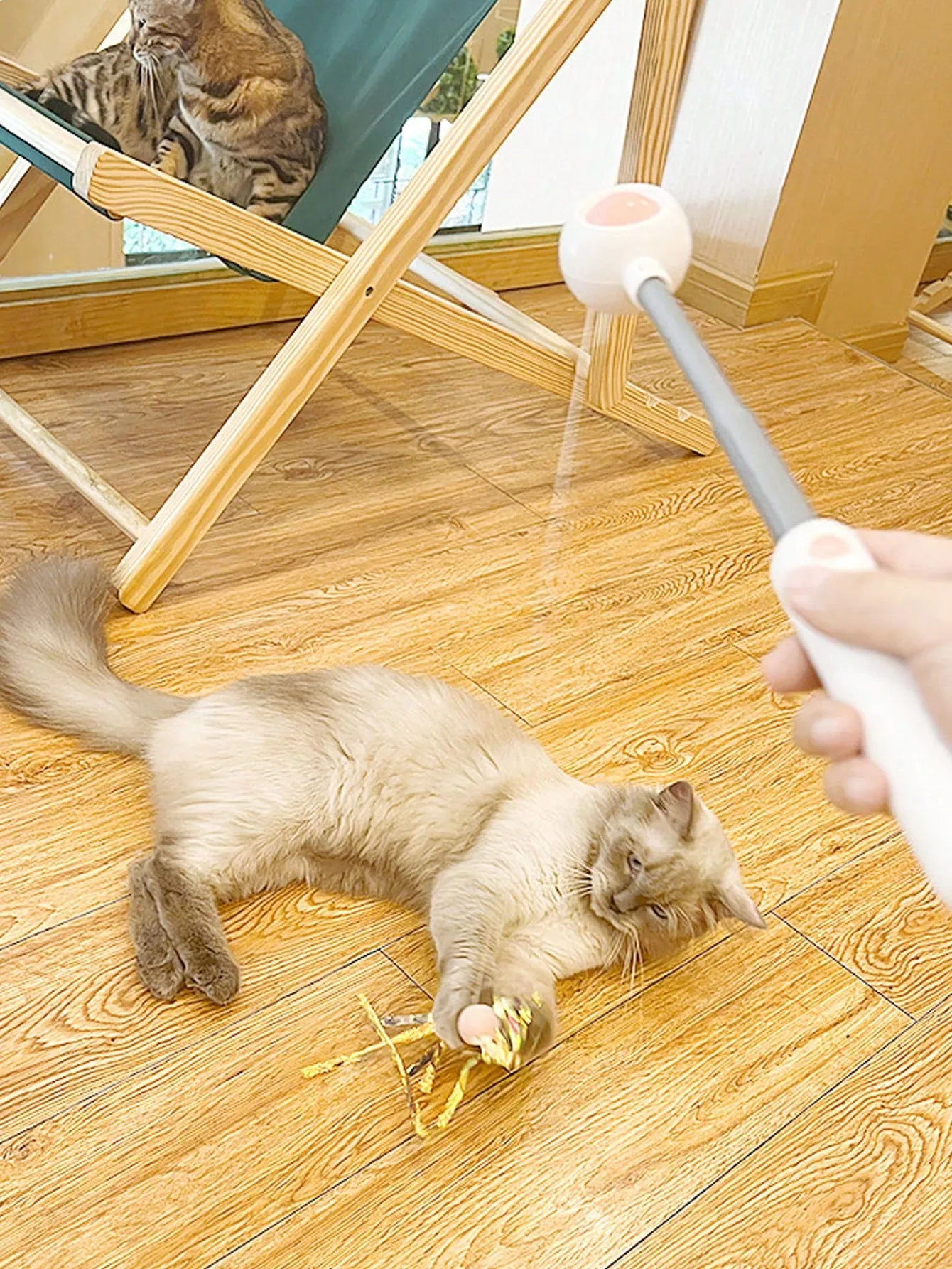 Interactive Cat Teaser Wand Toys With Replacement Feather