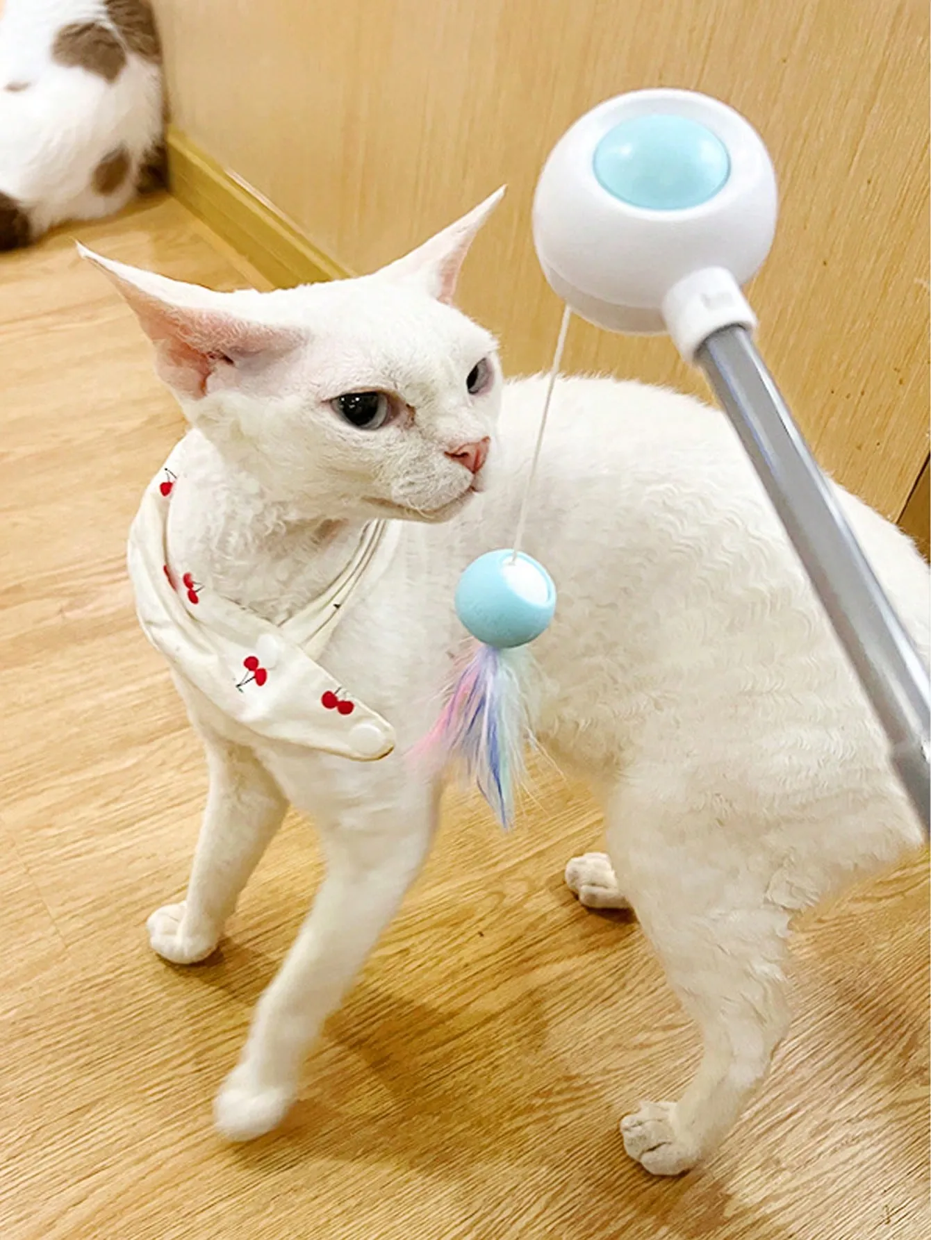 Interactive Cat Teaser Wand Toys With Replacement Feather
