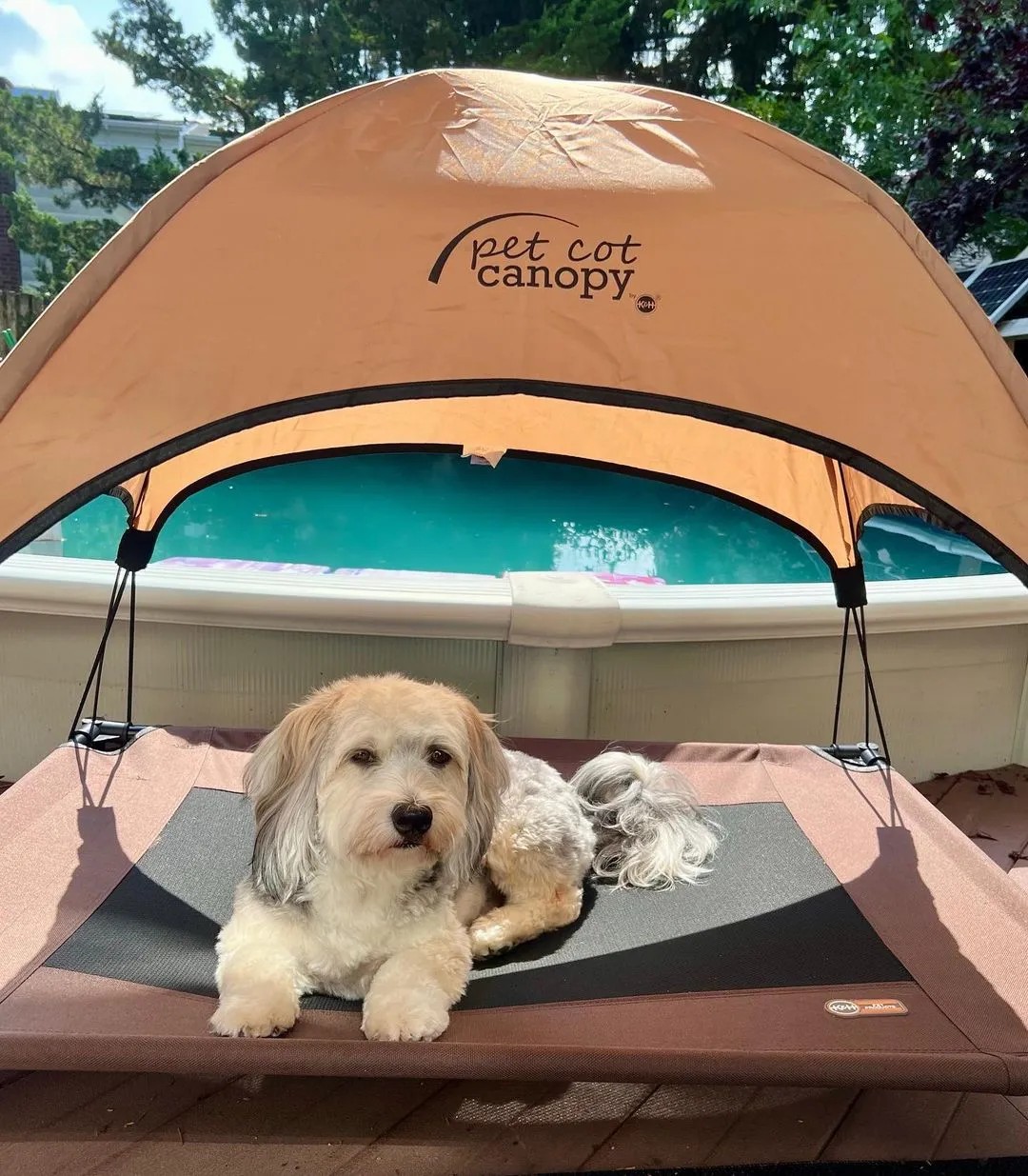 K&H Pet Canopy