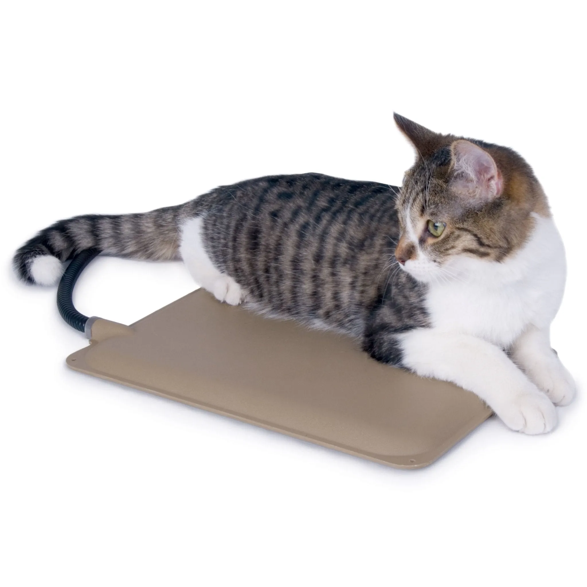 K&H Small Animal Heated Pad (& Accessories)