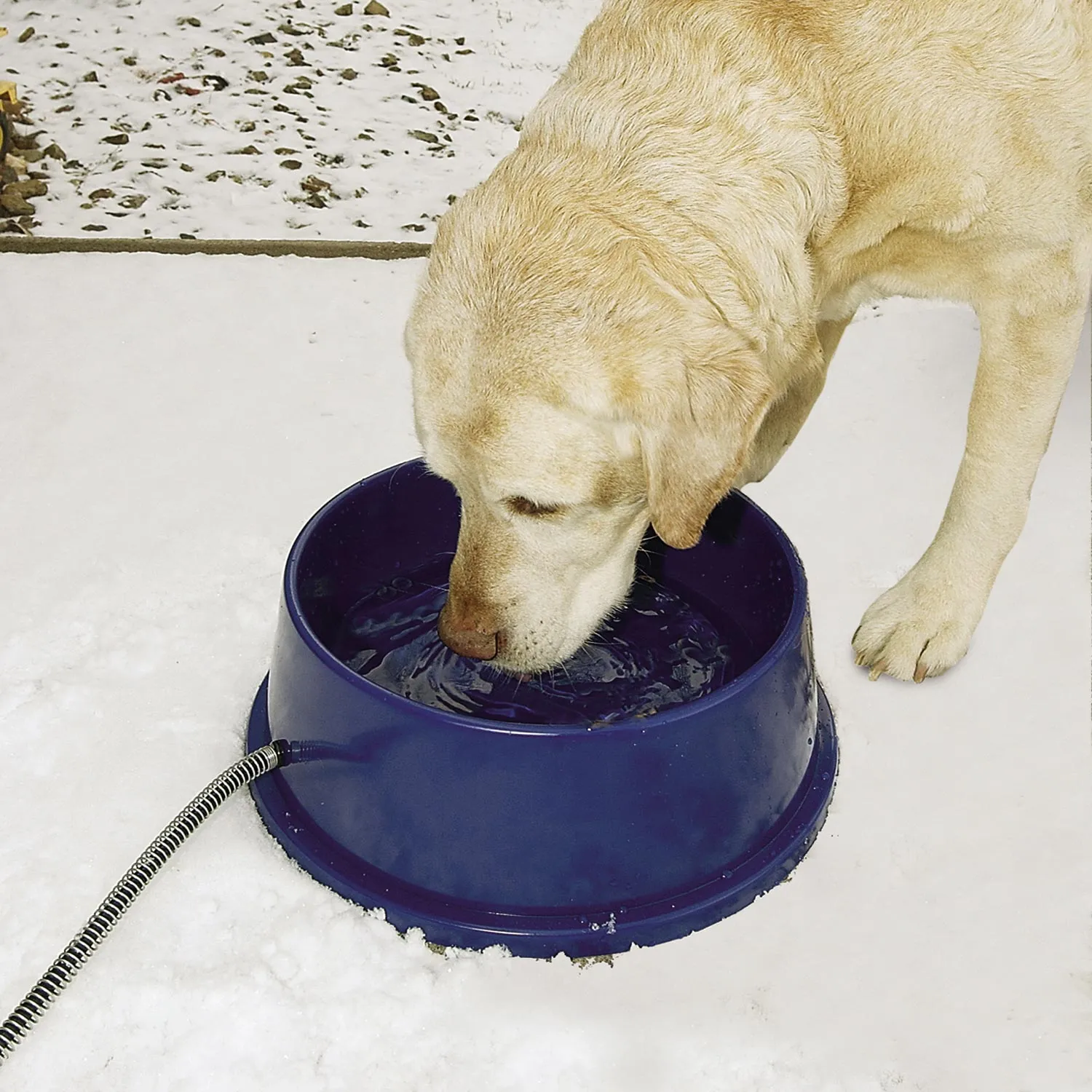 K&H Thermal-Bowl Heated Outdoor Water Bowl