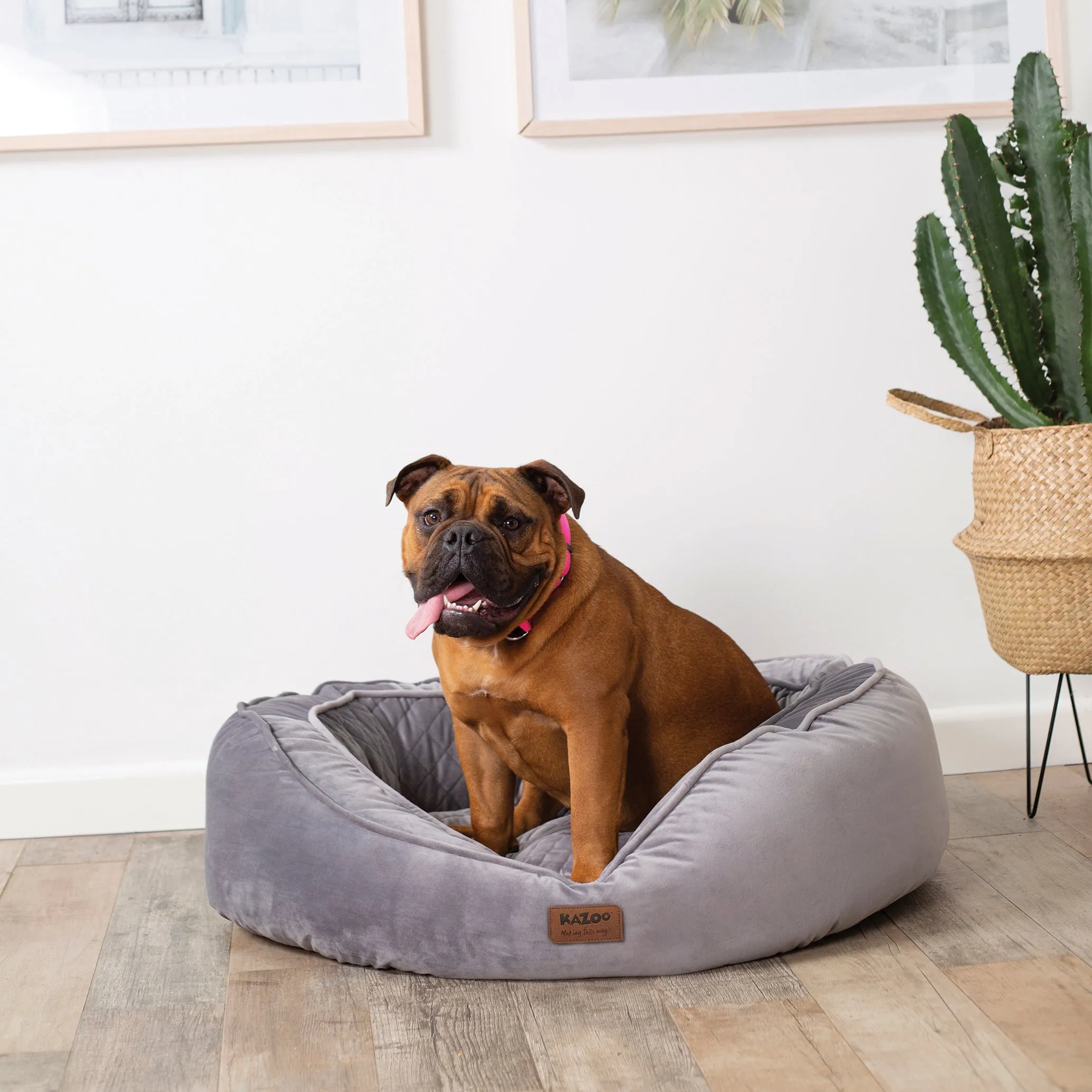 Kazoo Bilby Extra Large Grey Dog Bed^^^