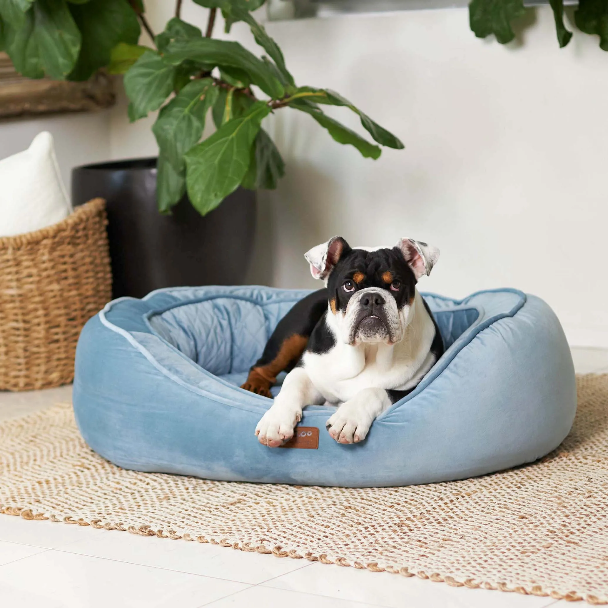 Kazoo Bilby Extra Large Twilight Blue Dog Bed^^^
