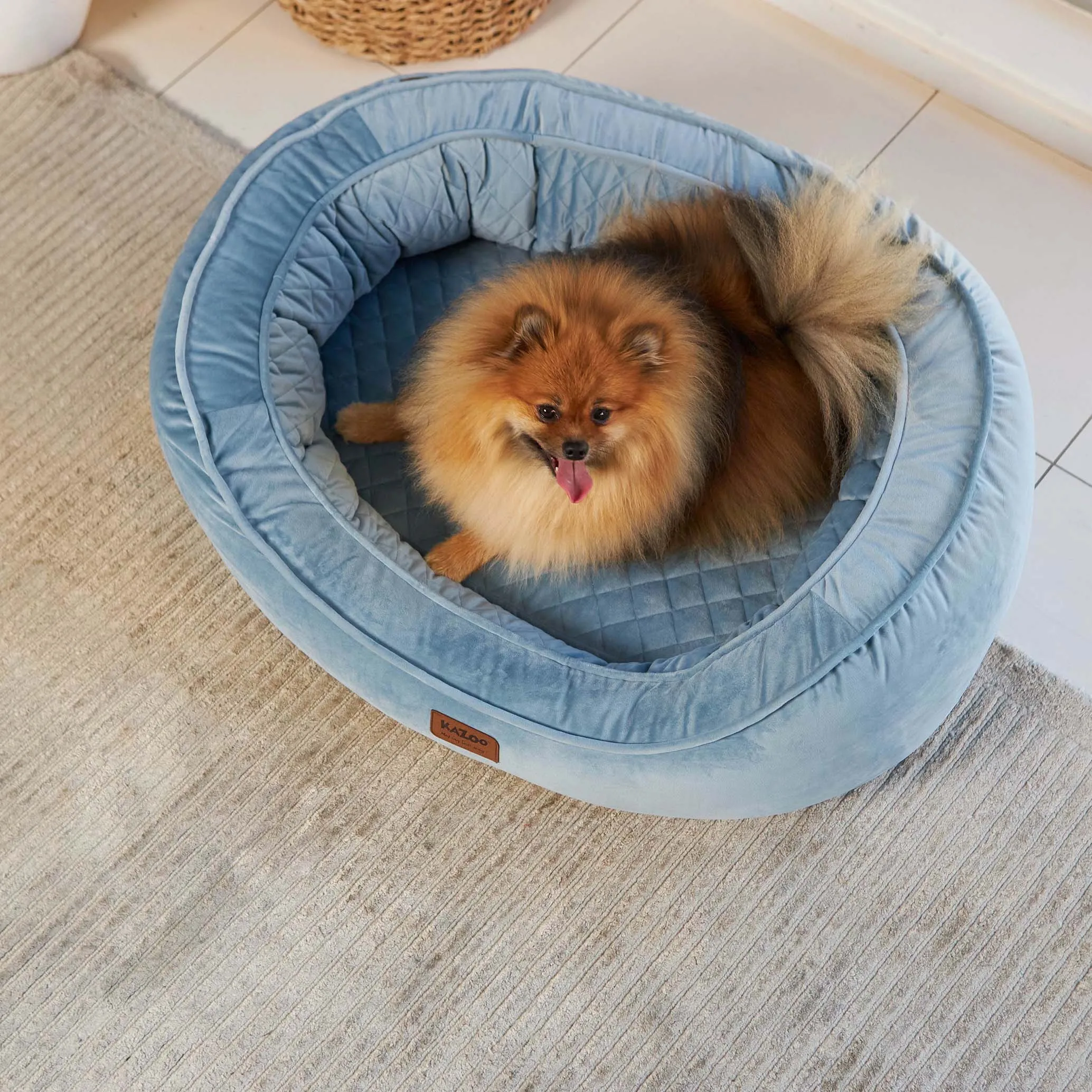 Kazoo Bilby Extra Large Twilight Blue Dog Bed^^^