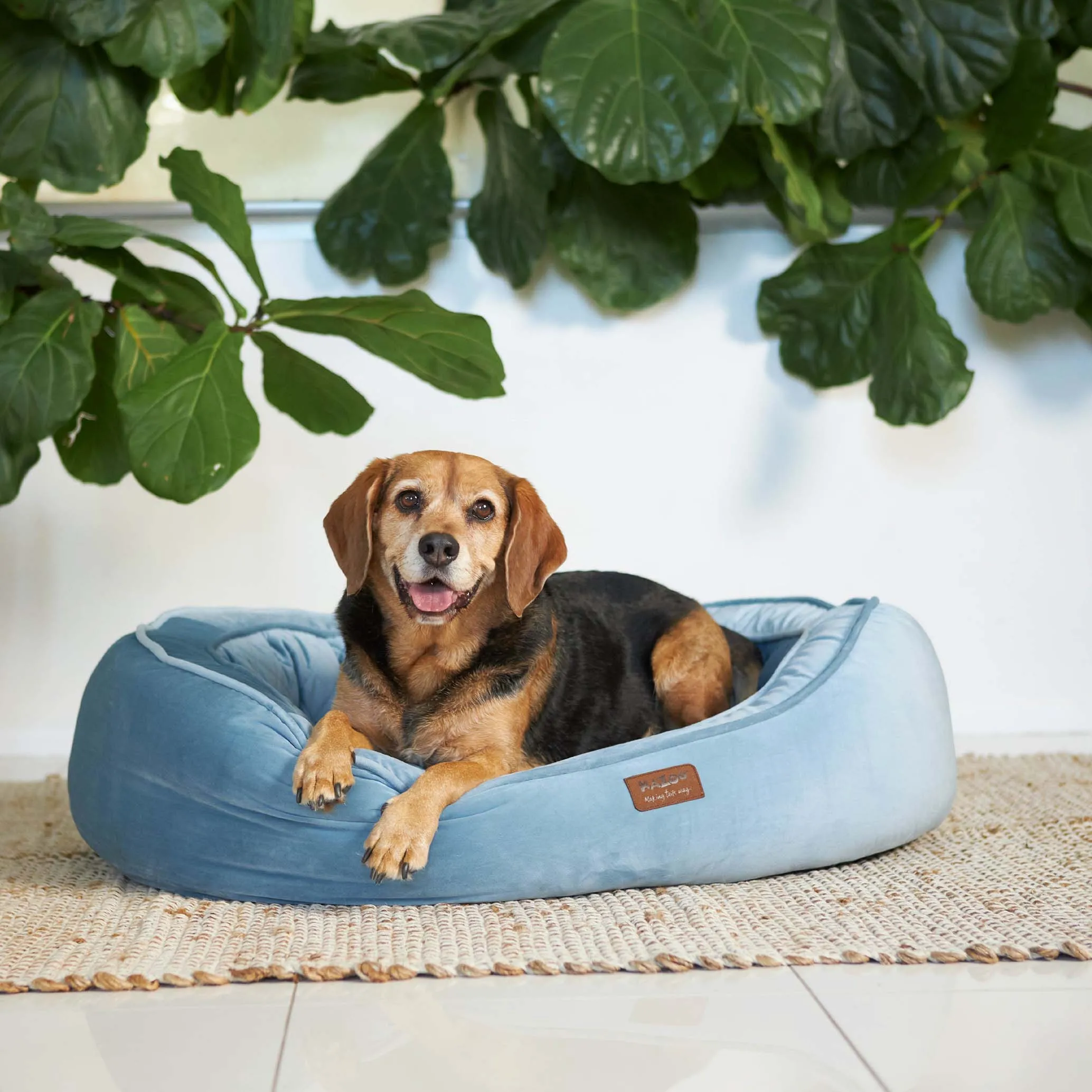 Kazoo Bilby Extra Large Twilight Blue Dog Bed^^^