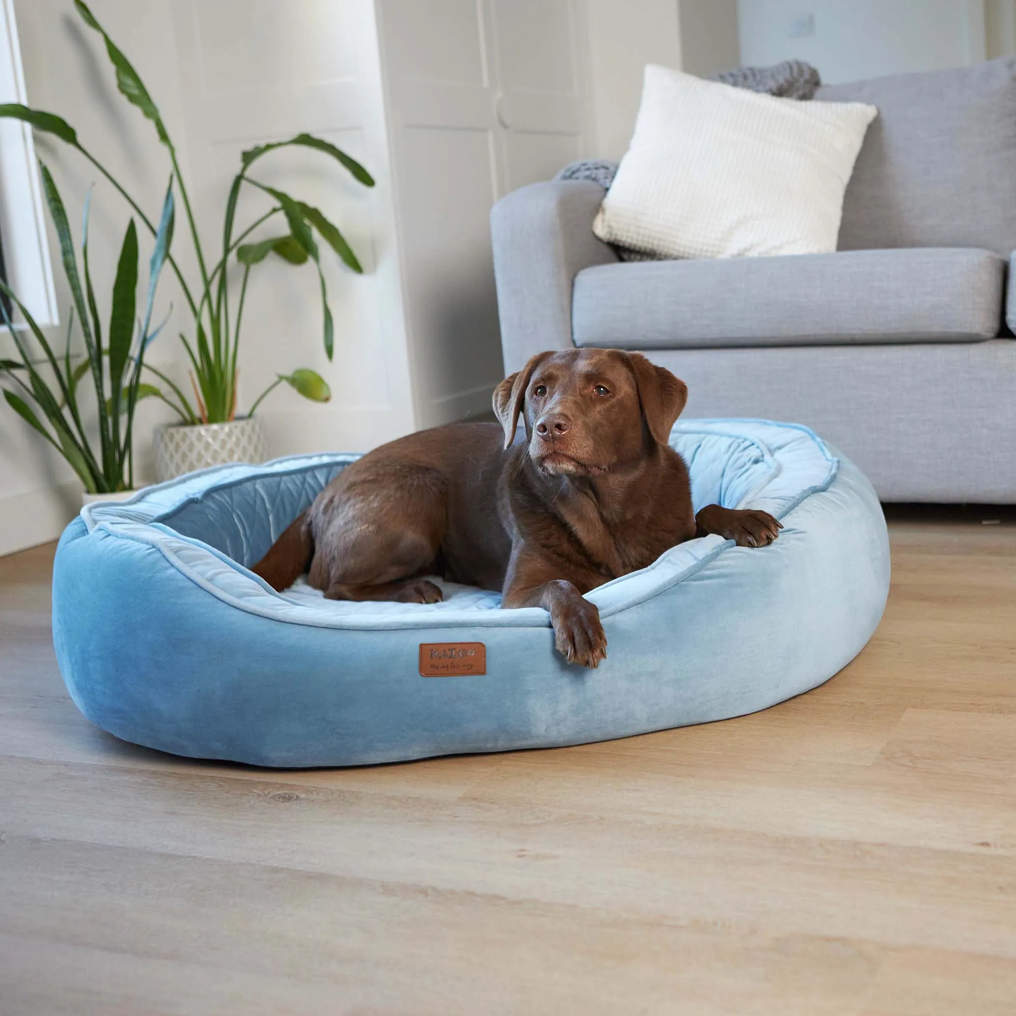 Kazoo Bilby Extra Large Twilight Blue Dog Bed^^^