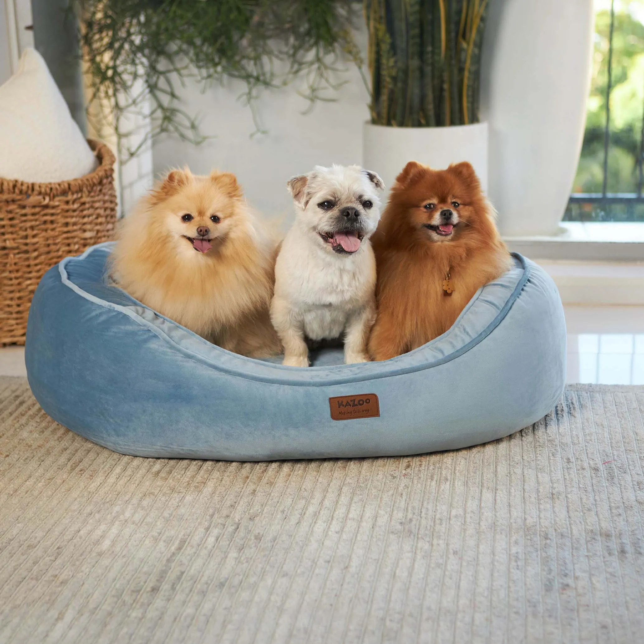 Kazoo Bilby Extra Large Twilight Blue Dog Bed^^^