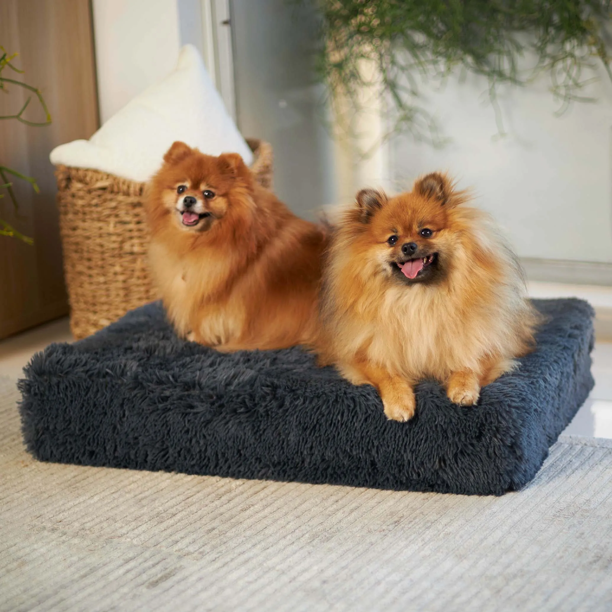 Kazoo Slumber Small Plush Grey Dog Bed***