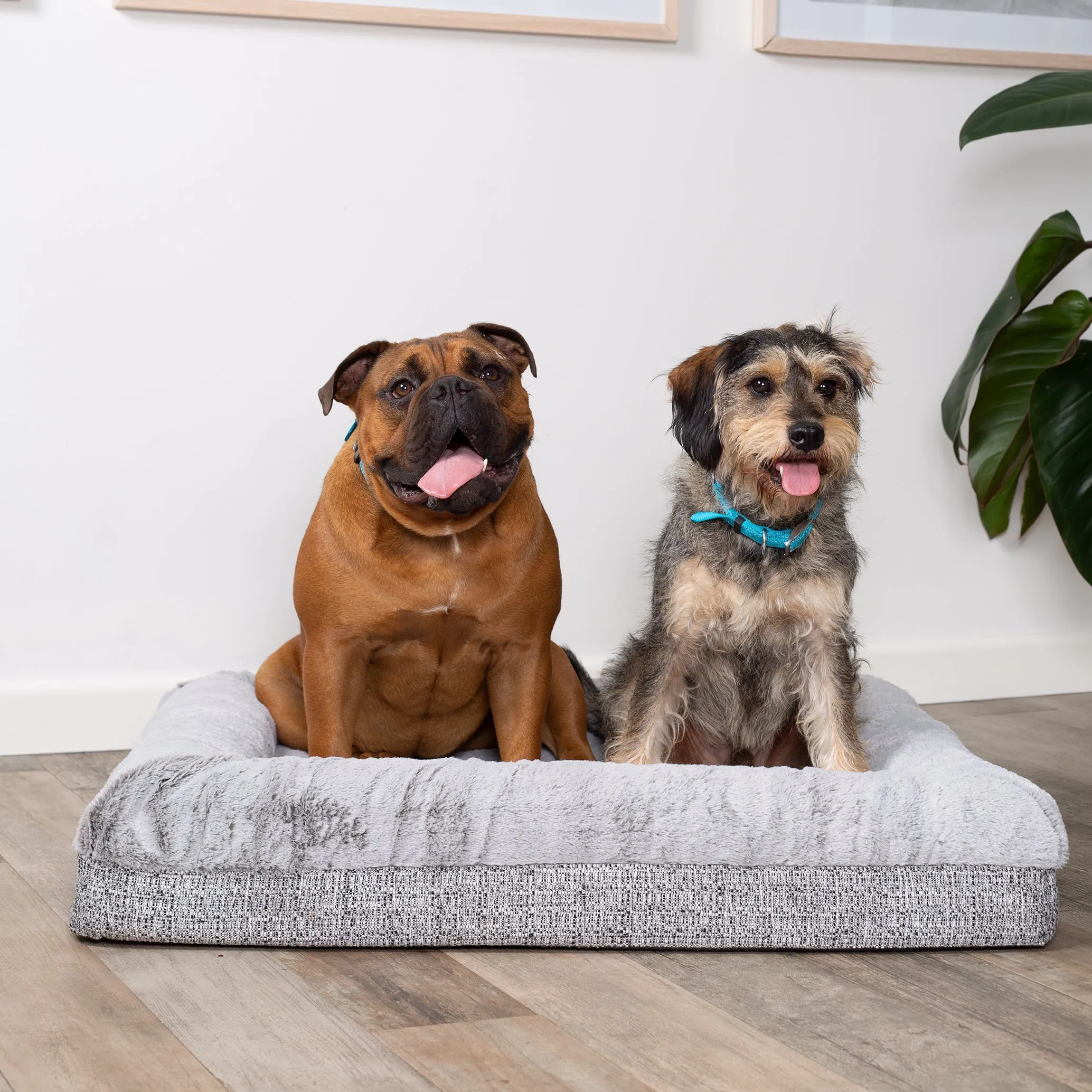 Kazoo Wombat Medium Plush Grey Dog Bed