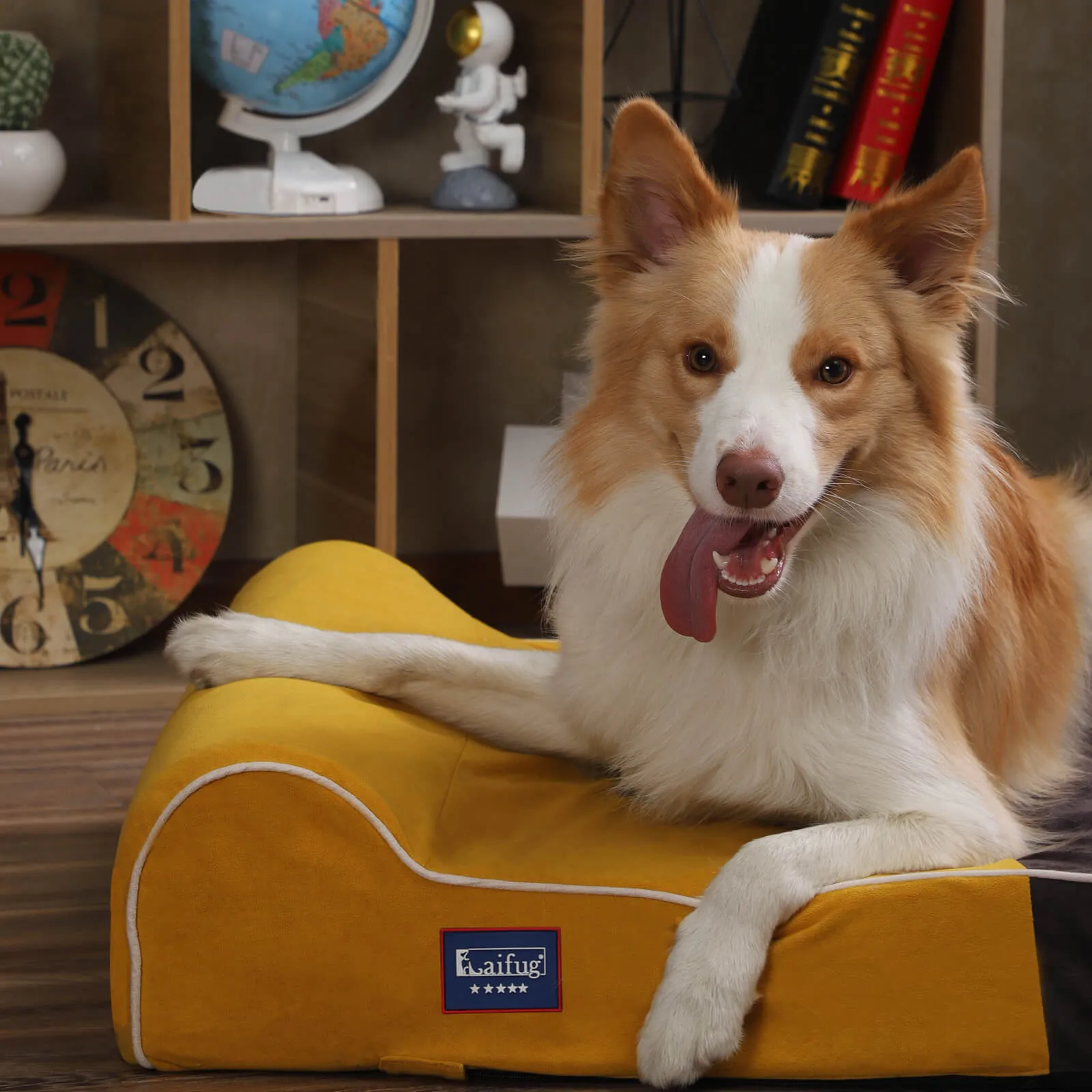 Laifug Single Pillow Dog Bed
