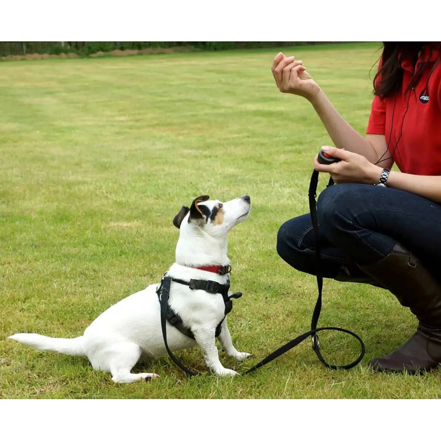 Mikki Clikka Reward Based Training Aid Clicker For Dogs Puppies