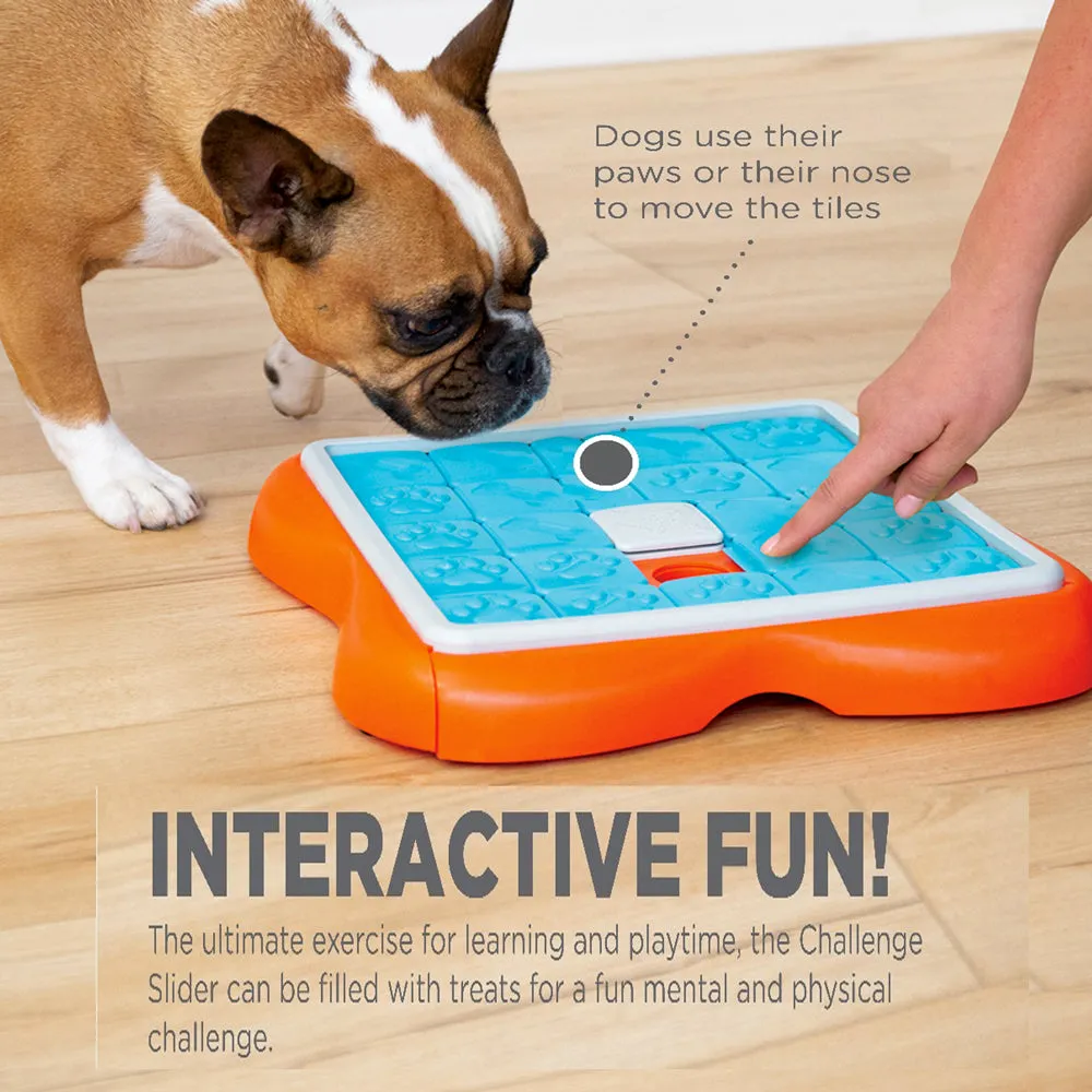 Nina Ottosson Challenge Slider Dog Treat Puzzle