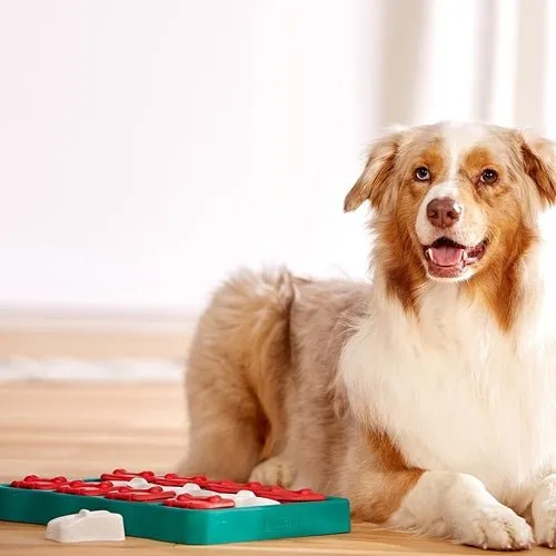 Nina Ottosson Dog Brick