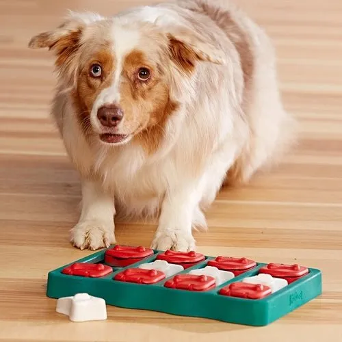 Nina Ottosson Dog Brick