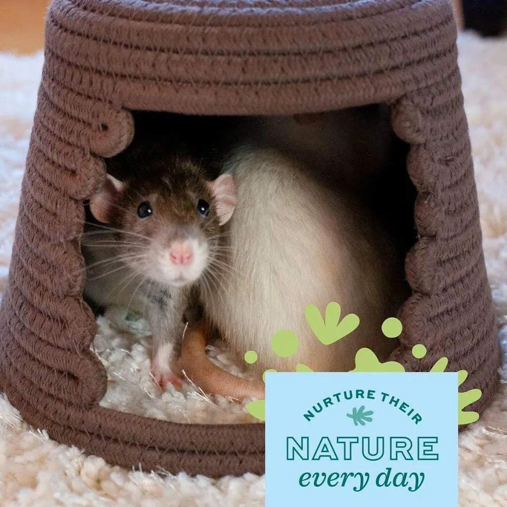 Oxbow Enriched Life Nesting Disks For Small Animals