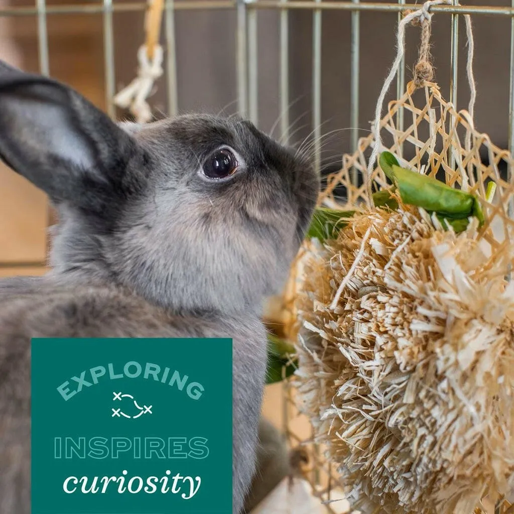 Oxbow Enriched Life Nesting Disks For Small Animals
