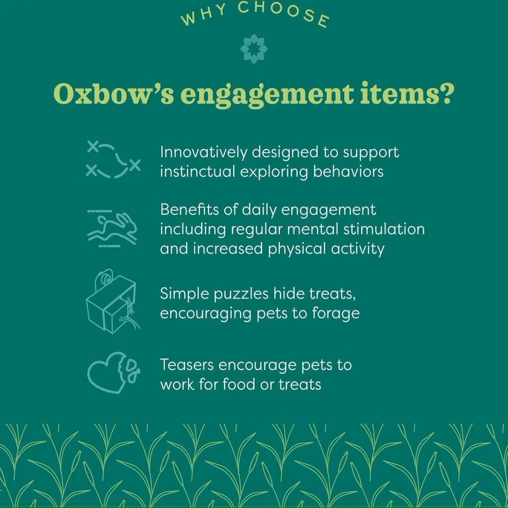 Oxbow Enriched Life Nesting Disks For Small Animals