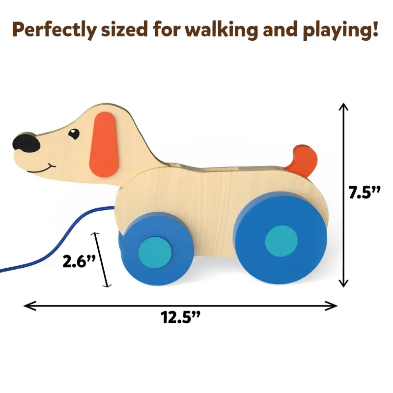 Pooping Puppy | Pull-along Toddler Toy (18 months )