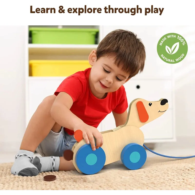 Pooping Puppy | Pull-along Toddler Toy (18 months )