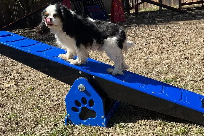 Puppy Scapes Mini See-saw (teeter totter) HDPE