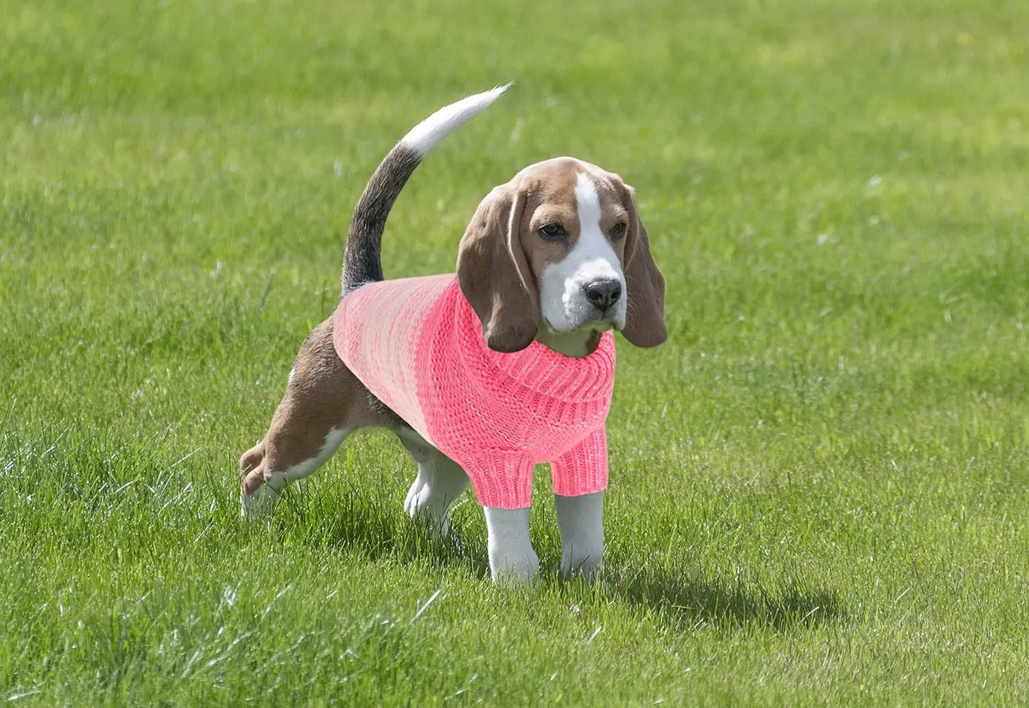 Queenmore Knitted Pullover Dog Sweater, Turtleneck Pet Cat Sweater, Cold Weather Puppy Clothes Stitching Knitwear with Leash Hole for Small Medium DogsPink,S