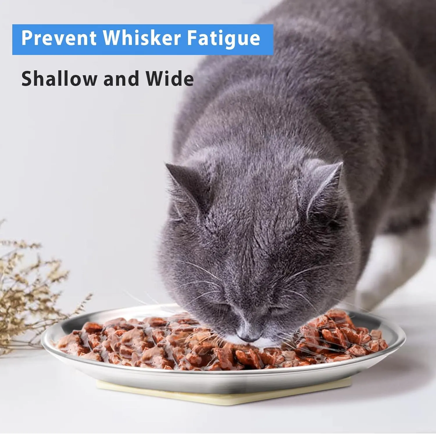Stainless Steel Cat Dishes for Food and Water Bowls for Small and Medium Pets Relief of Whisker Fatigue -2 Sets Shallow Style