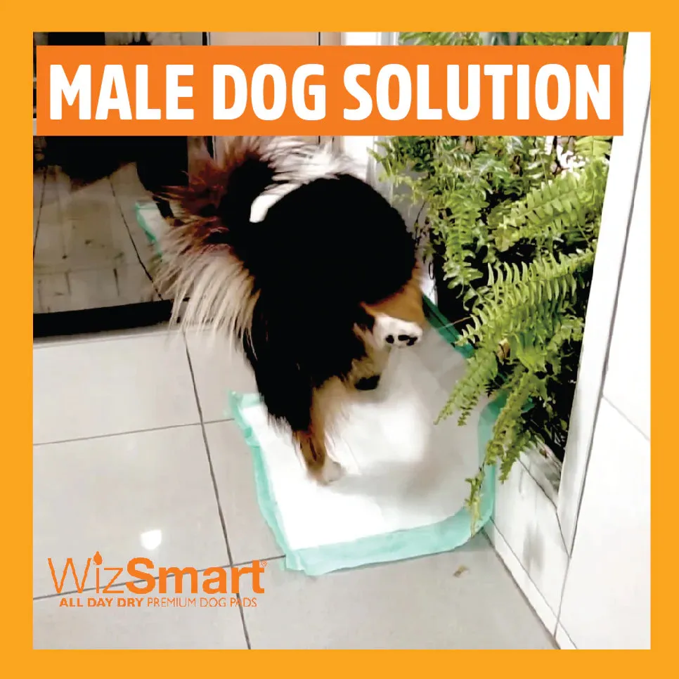 WizSmart -  Heavyweight Dog Pads (6 cups)